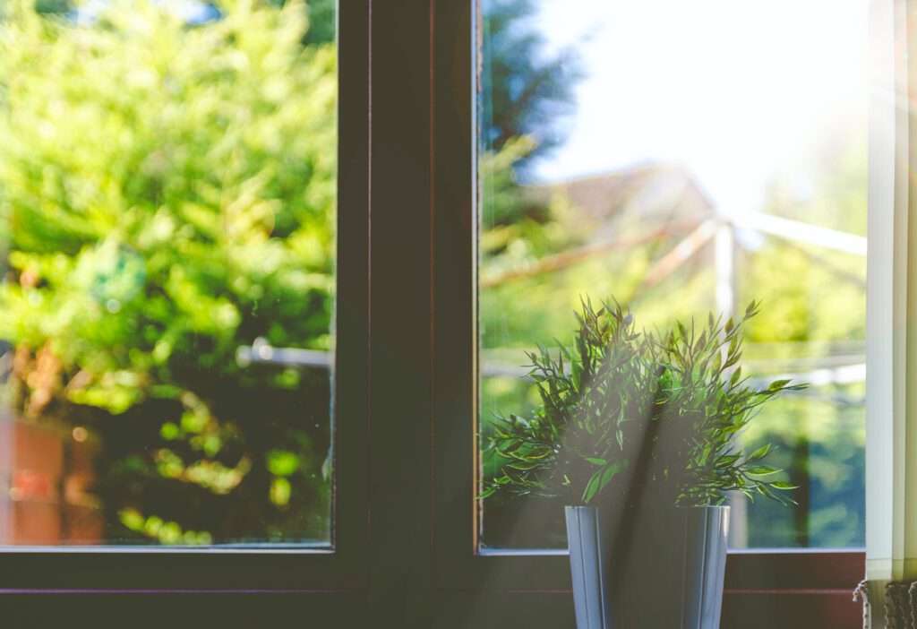 Aussicht auf den Garten vor einem Fenster